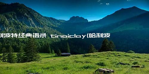 哈利波特经典语录 tinaiclay(哈利波特名句摘抄)